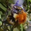 300629 – Photo : Liliane Delattre – France (30)